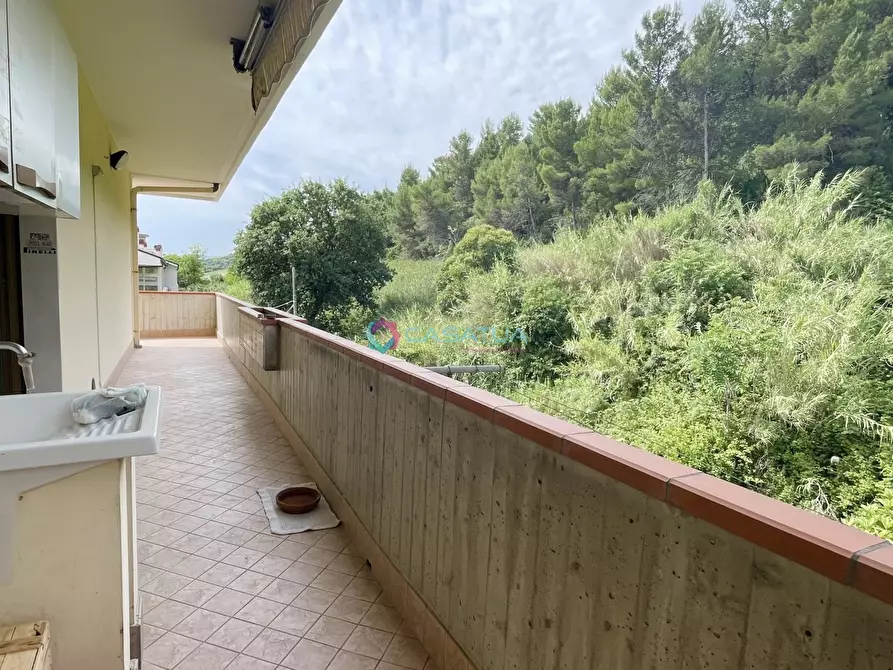 Immagine 15 di Attico in vendita  a Pineto