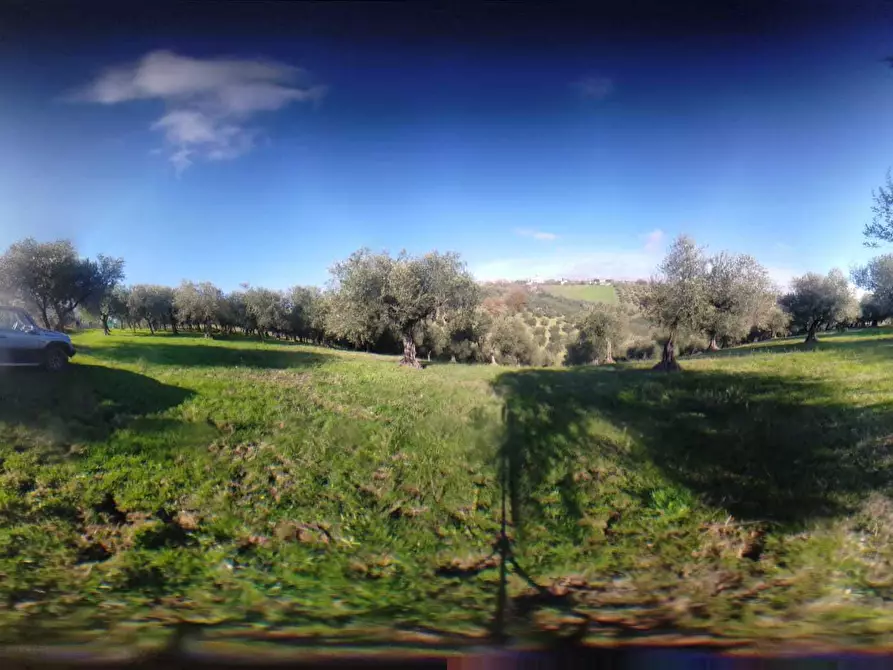 Immagine 42 di Rustico / casale in vendita  a Loreto Aprutino