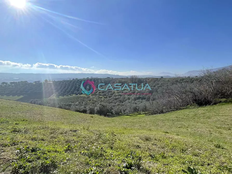 Immagine 43 di Rustico / casale in vendita  a Loreto Aprutino