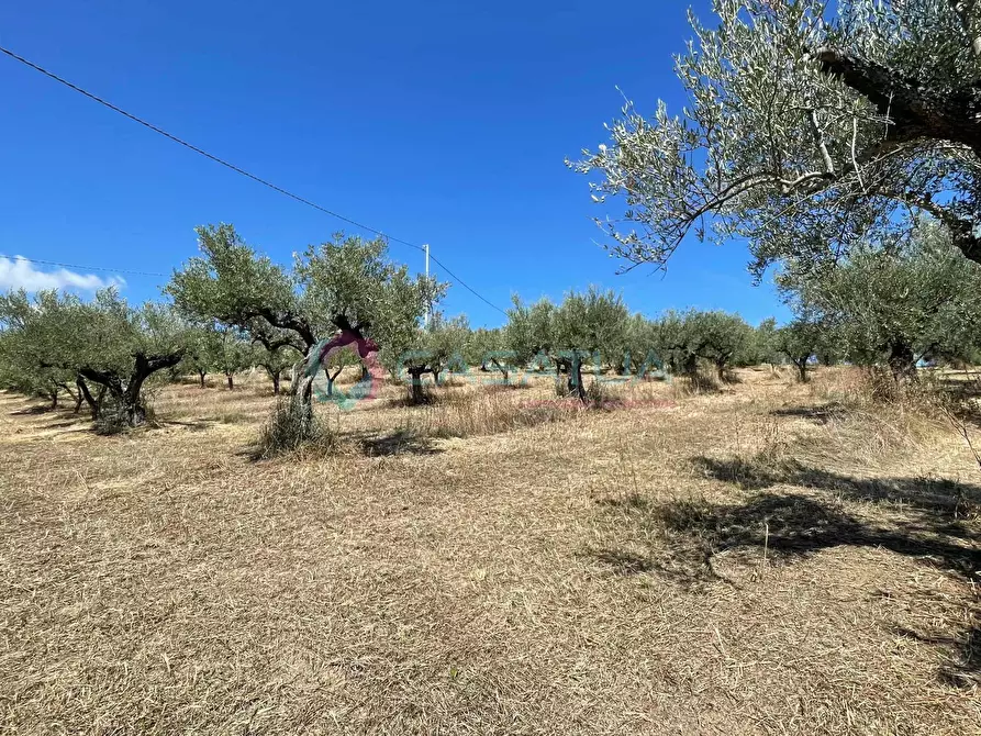 Immagine 25 di Casa indipendente in vendita  a Civitella Casanova