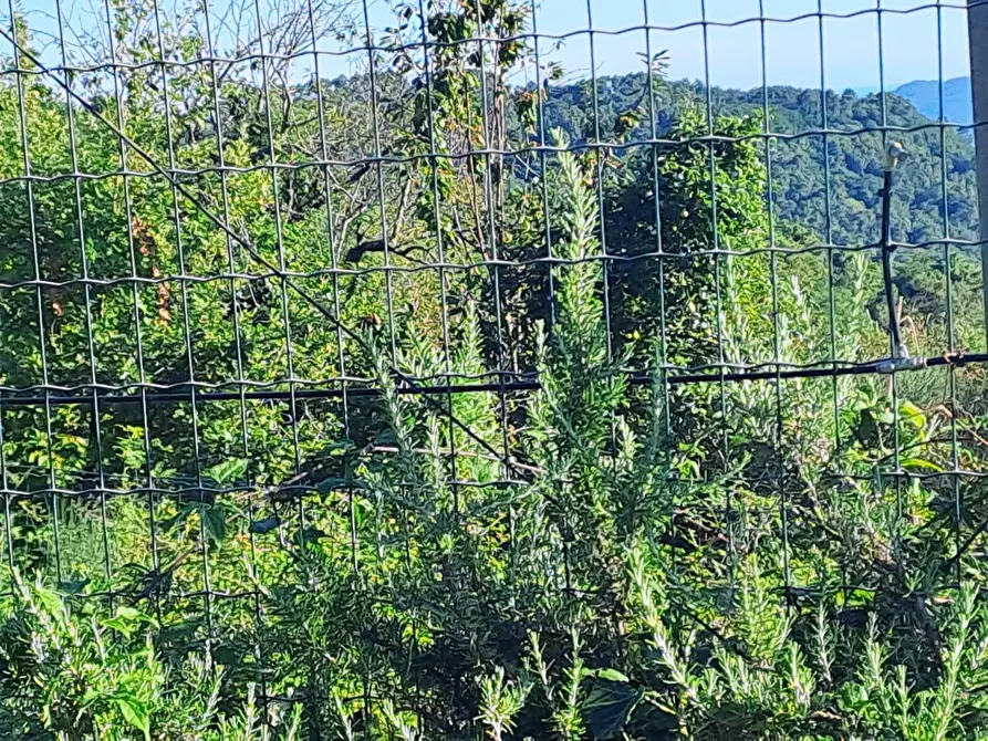 Immagine 51 di Rustico / casale in vendita  in Via Soggia 6 a Sarzana