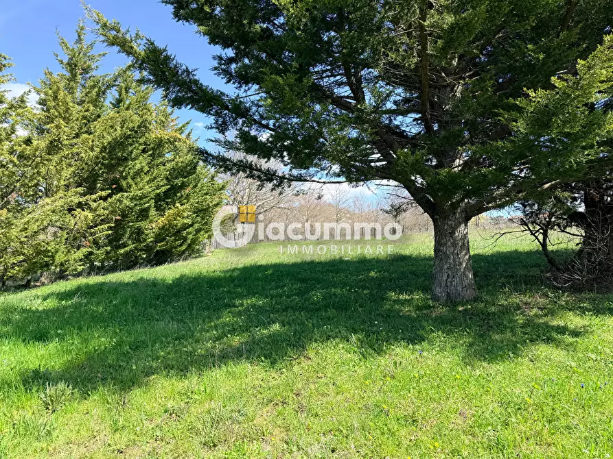Immagine 32 di Villa in vendita  in CONTRADA MIRACOLO 60 a Avigliano