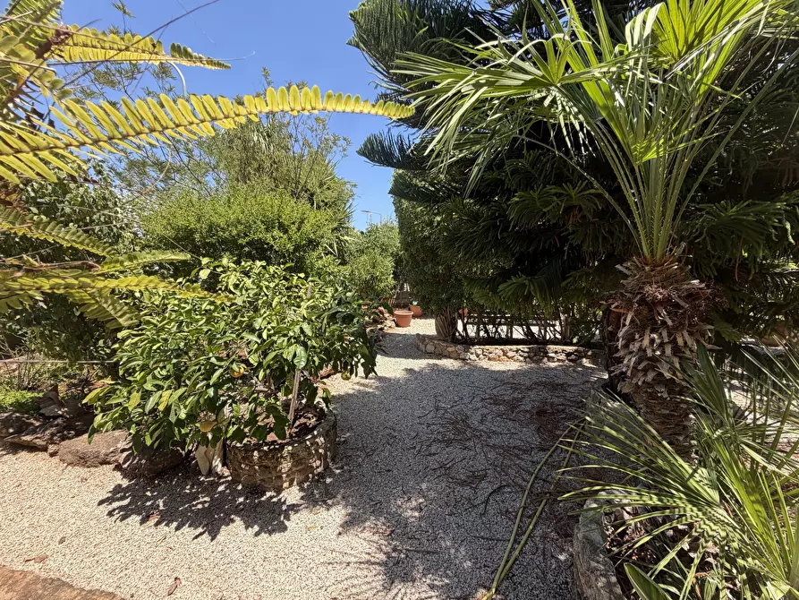 Immagine 21 di Villa in vendita  in Passaggio delle Orchidee a Isola Delle Femmine