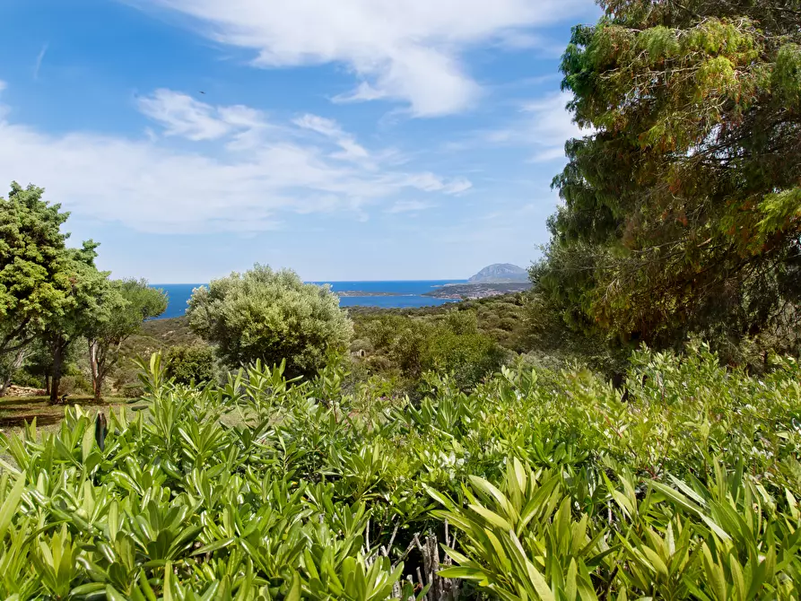 Immagine 54 di Villa in vendita  in Località Milmegghio a Olbia
