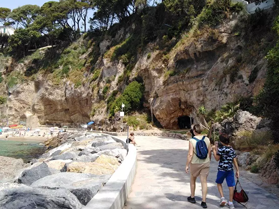 Immagine 8 di Trilocale in affitto  a La Spezia