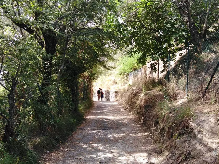 Immagine 12 di Trilocale in affitto  a La Spezia