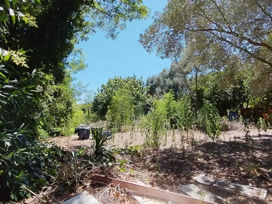 Immagine 7 di Rustico / casale in vendita  in via dell gardenie 33 a Aprilia