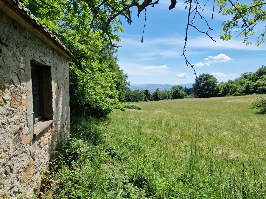 Immagine 1 di Rustico / casale in vendita  a Roccastrada