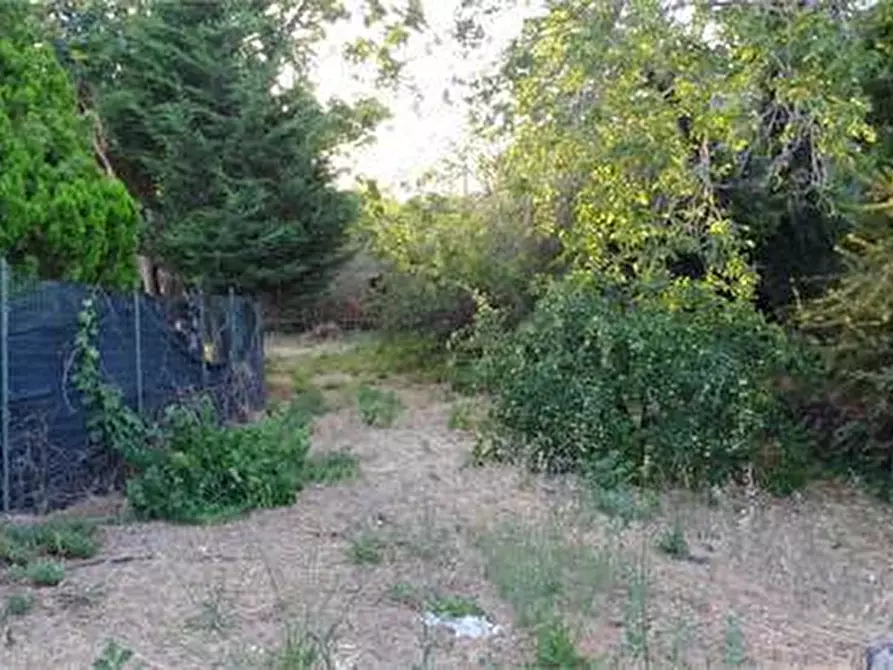 Immagine 3 di Terreno agricolo in vendita  in Vico Calvagna a Ragalna