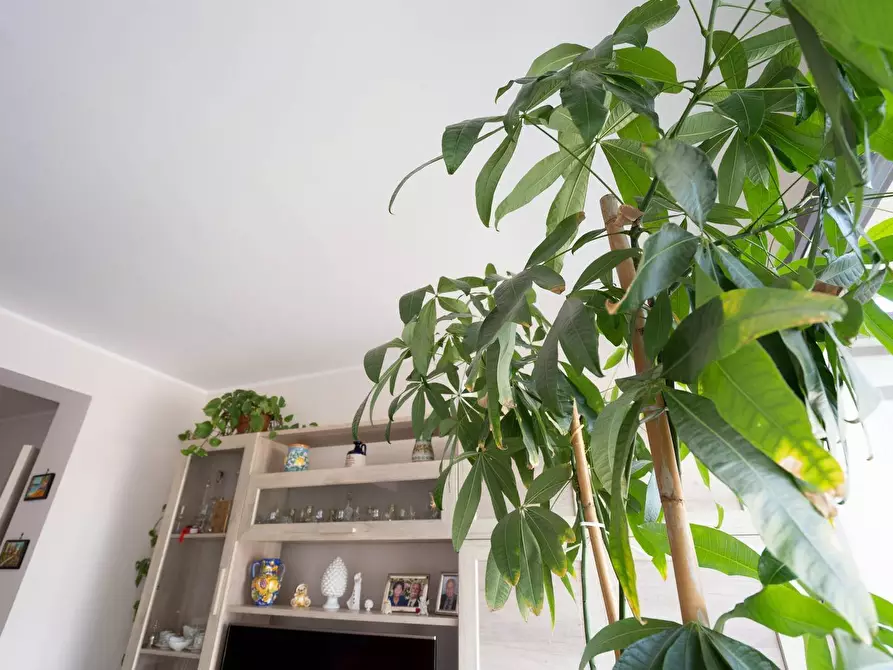 Immagine 19 di Casa bifamiliare in vendita  in Via Catanzaro 11 a San Giovanni La Punta