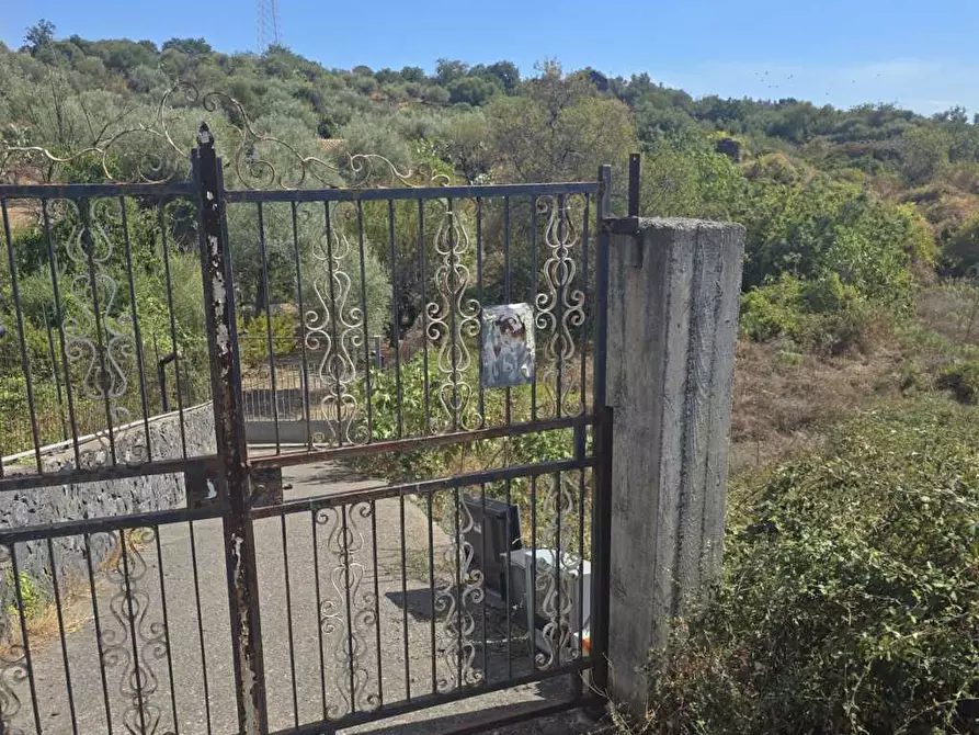Immagine 3 di Terreno agricolo in vendita  in Via Luigi Pirandello a Camporotondo Etneo