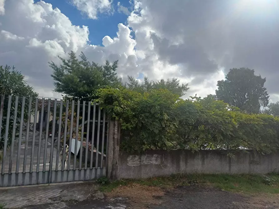 Immagine 10 di Terreno agricolo in vendita  in Via Friuli snc a Mascalucia