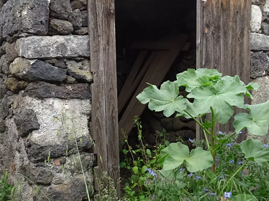 Immagine 5 di Casa indipendente in vendita  in Via Monte Grappa 7 a Belpasso