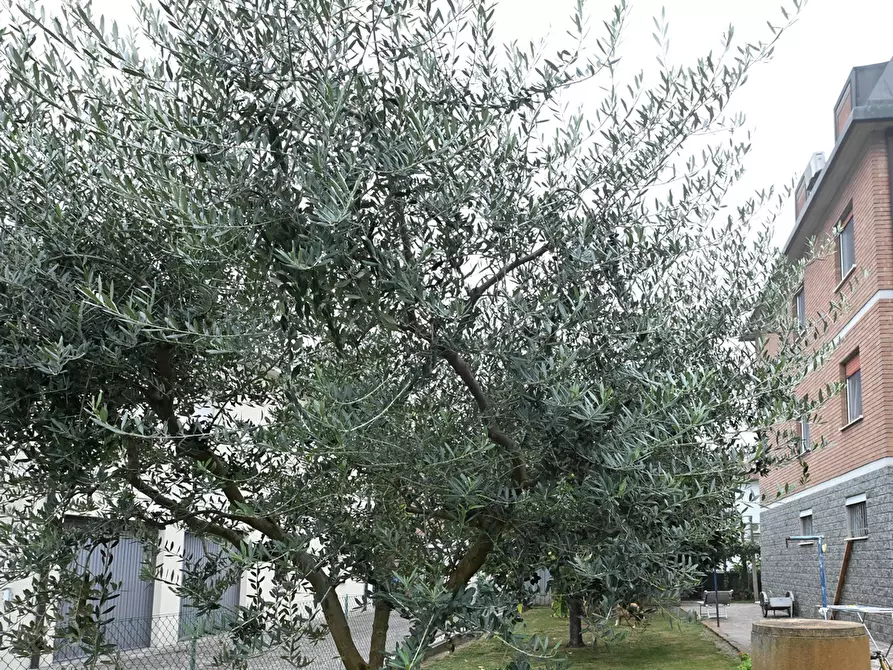 Immagine 11 di Quadrilocale in vendita  a Modena