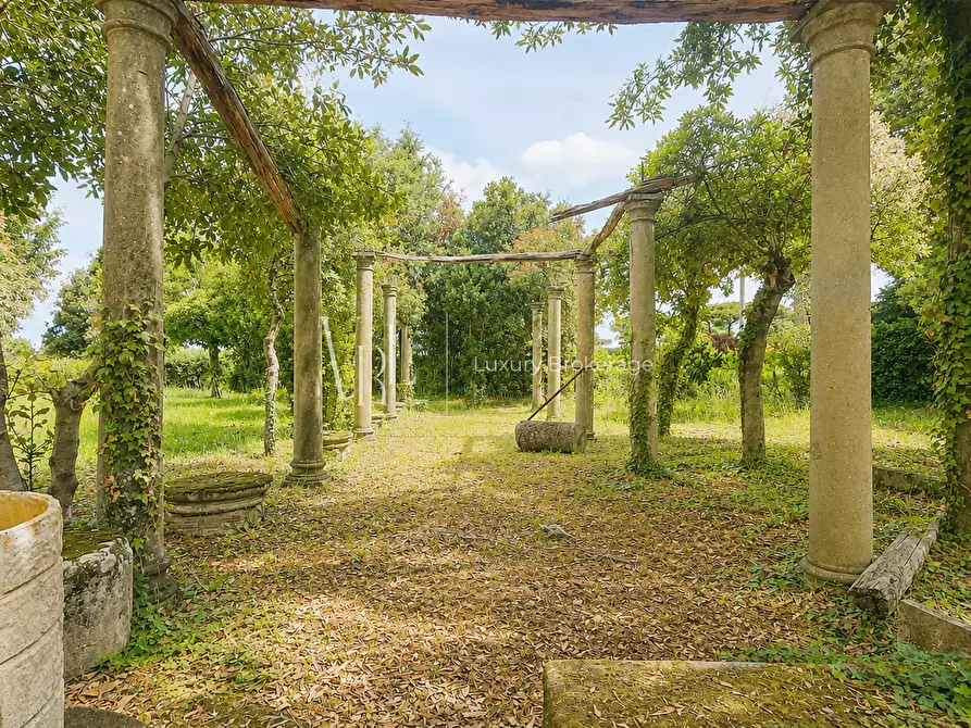 Immagine 15 di Villa in vendita  a Frascati