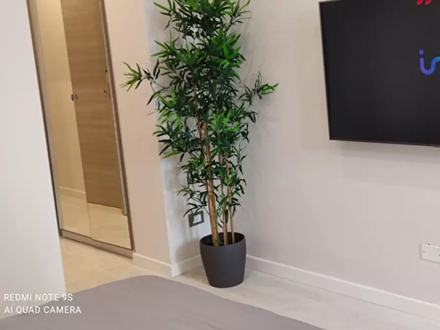 Immagine 6 di Bilocale in affitto  a Viareggio