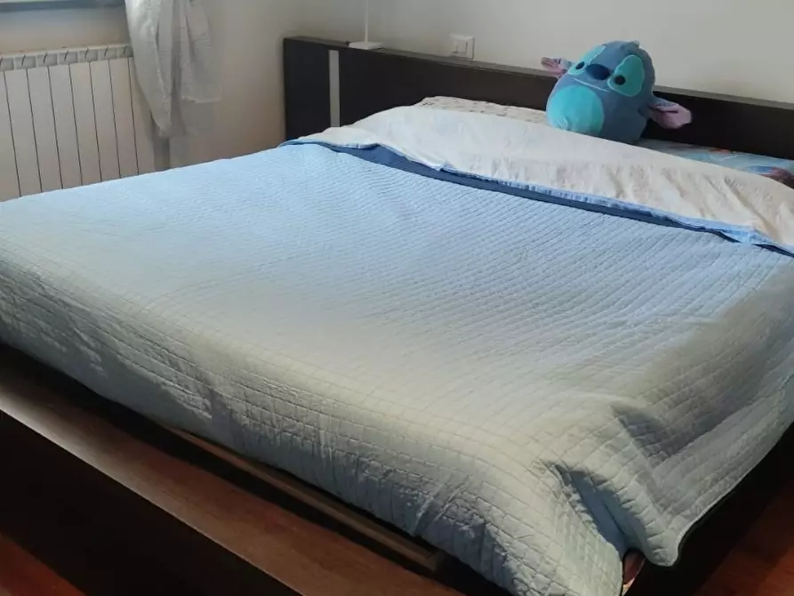 Immagine 20 di Terratetto in vendita  a Viareggio