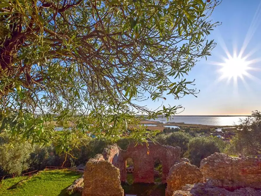 Immagine 2 di Porzione di casa in vendita  a Massarosa