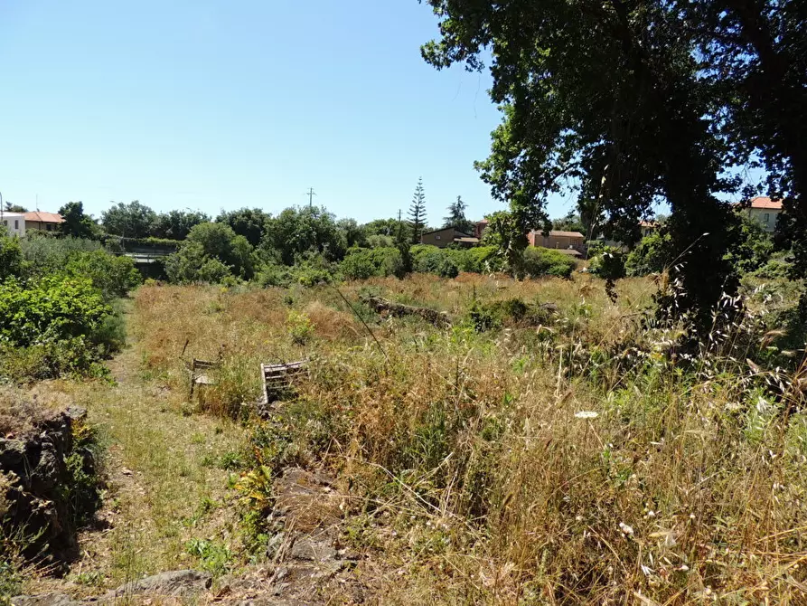 Immagine 4 di Terreno agricolo in affitto  in Via Annunziata 89 a Tremestieri Etneo