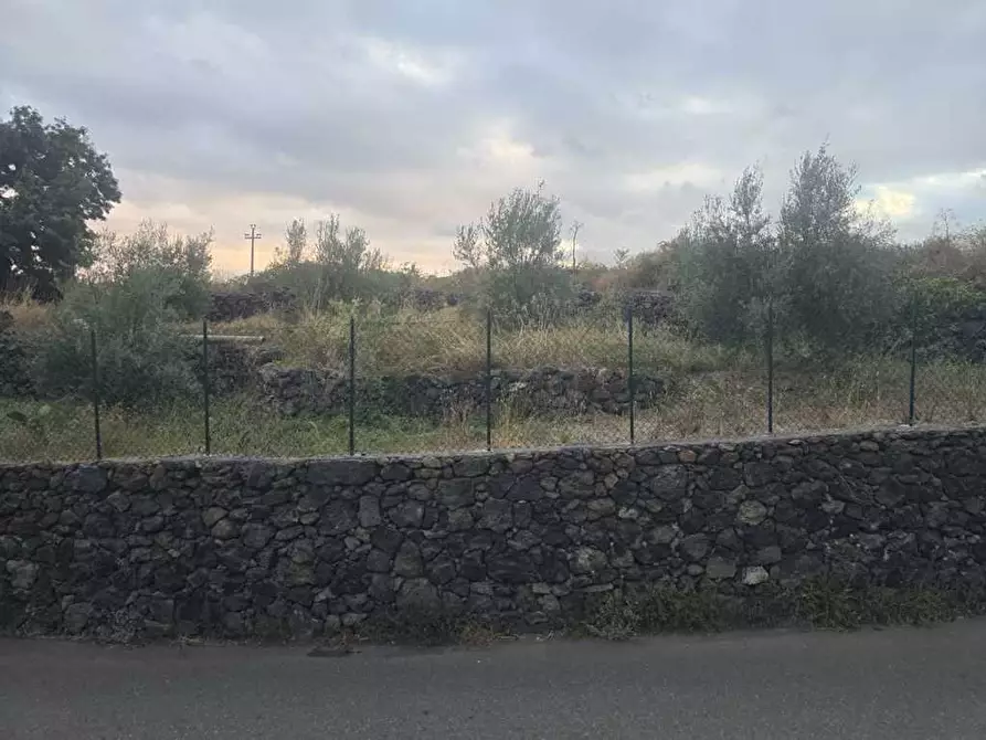 Immagine 3 di Terreno agricolo in vendita  in Via Risorgimento 31-33 a Camporotondo Etneo