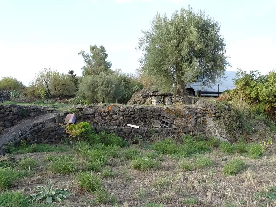 Immagine 5 di Terreno agricolo in vendita  in Via Alto Adige a Mascalucia