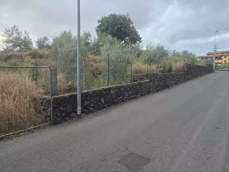 Immagine 12 di Terreno agricolo in vendita  in Via Risorgimento 31-33 a Camporotondo Etneo