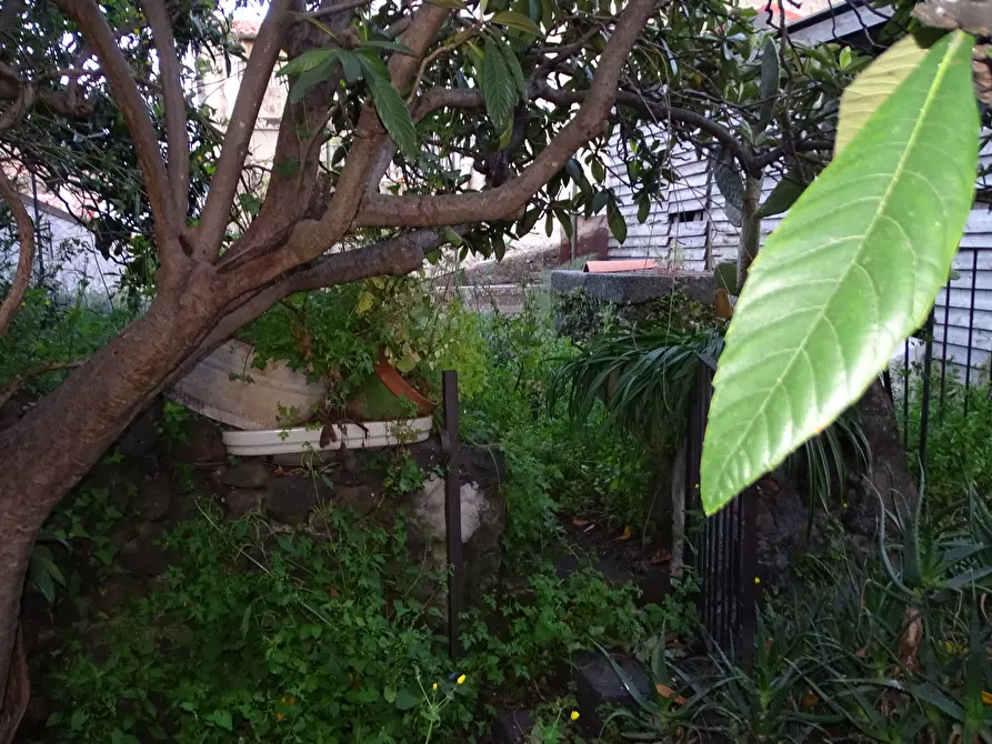 Immagine 32 di Casa indipendente in vendita  in Via Monte Grappa 7 a Belpasso