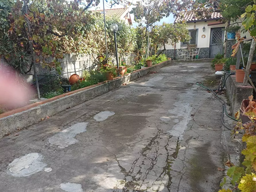 Immagine 5 di Terreno agricolo in vendita  in Via Friuli snc a Mascalucia