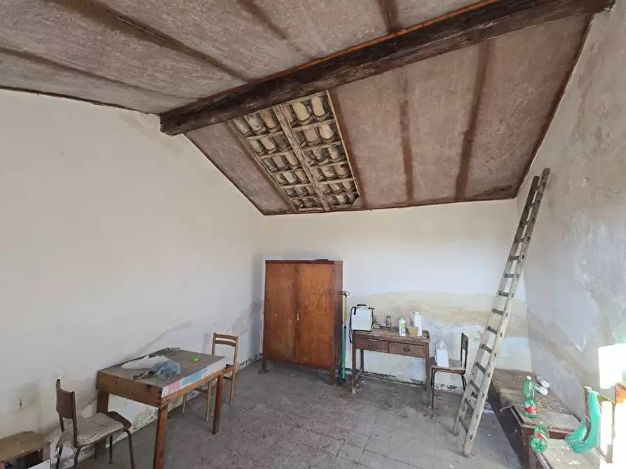 Immagine 19 di Terreno agricolo in vendita  in Via San Nicola 19 a Motta Sant'anastasia