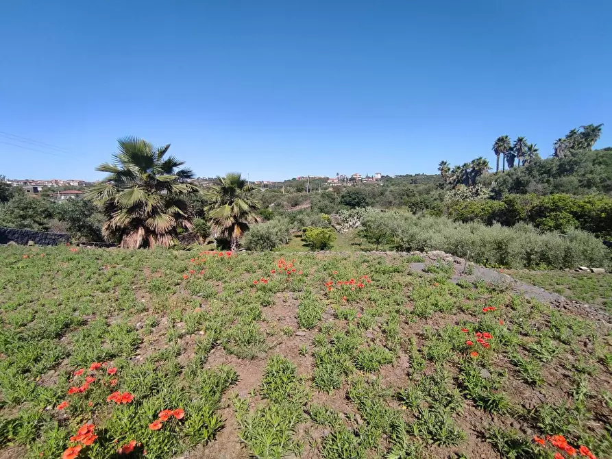 Immagine 13 di Terreno agricolo in vendita  a Misterbianco