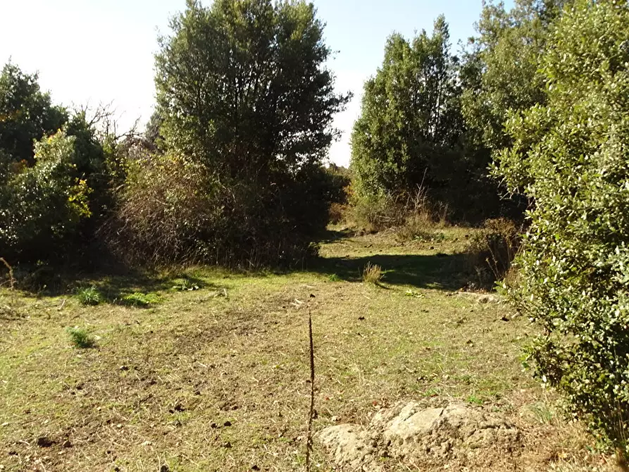 Immagine 16 di Terreno agricolo in vendita  in SP158 a Biancavilla