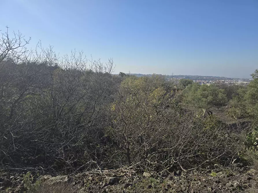 Immagine 13 di Terreno industriale in vendita  in Via Gran Bretagna a Camporotondo Etneo
