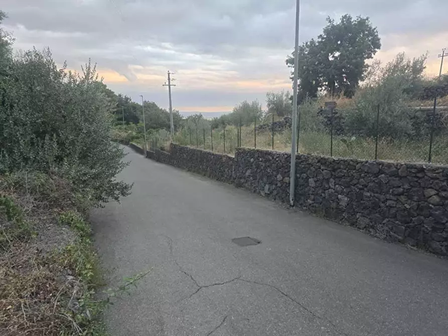 Immagine 4 di Terreno agricolo in vendita  in Via Risorgimento 31-33 a Camporotondo Etneo