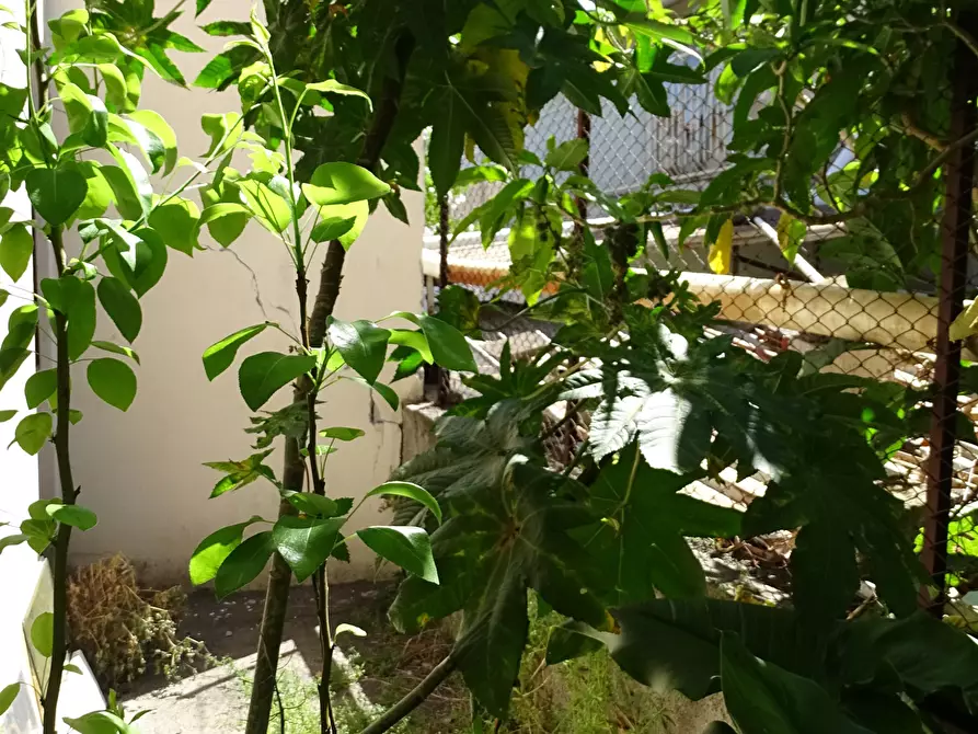 Immagine 15 di Casa indipendente in vendita  in Via delle Albicocche 17 a Catania