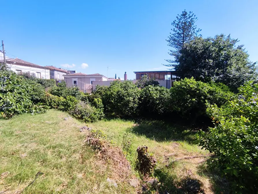 Immagine 7 di Terreno edificabile in vendita  in Via San Giovanni a Mascali