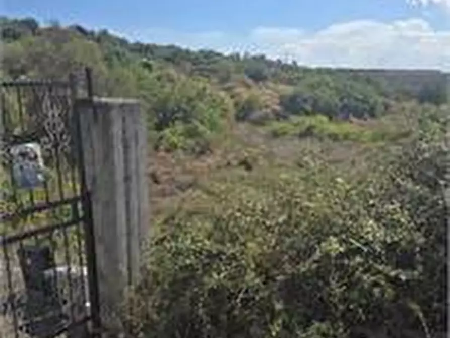 Immagine 2 di Terreno agricolo in vendita  in Via Luigi Pirandello a Camporotondo Etneo