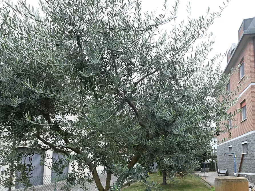 Immagine 1 di Casa trifamiliare in vendita  a Campogalliano