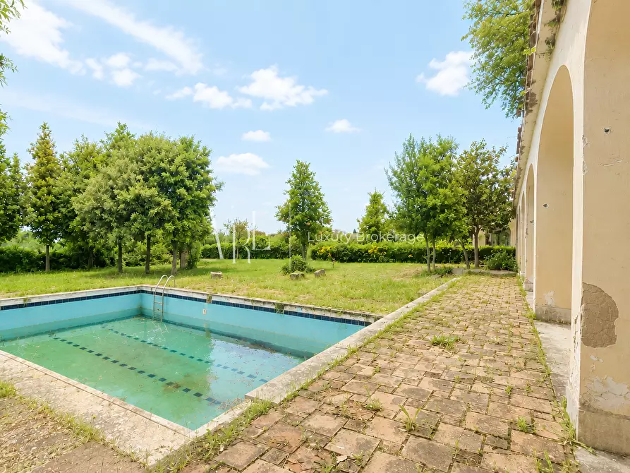 Immagine 5 di Villa in vendita  a Frascati