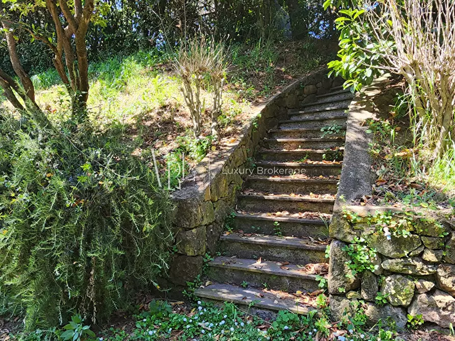 Immagine 24 di Residence in vendita  in Via Appia Antica a Roma