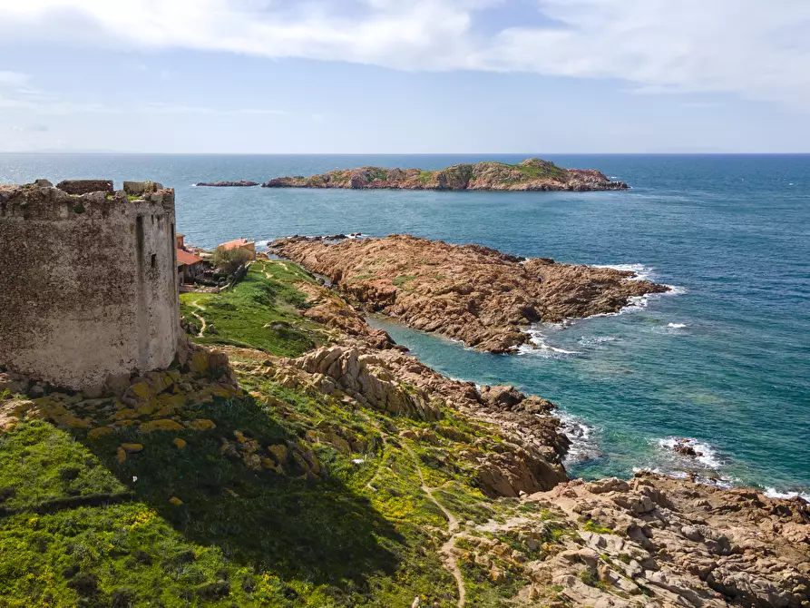 Immagine 9 di Trilocale in vendita  in Via Sedini 8 a Trinità D'agultu E Vignola