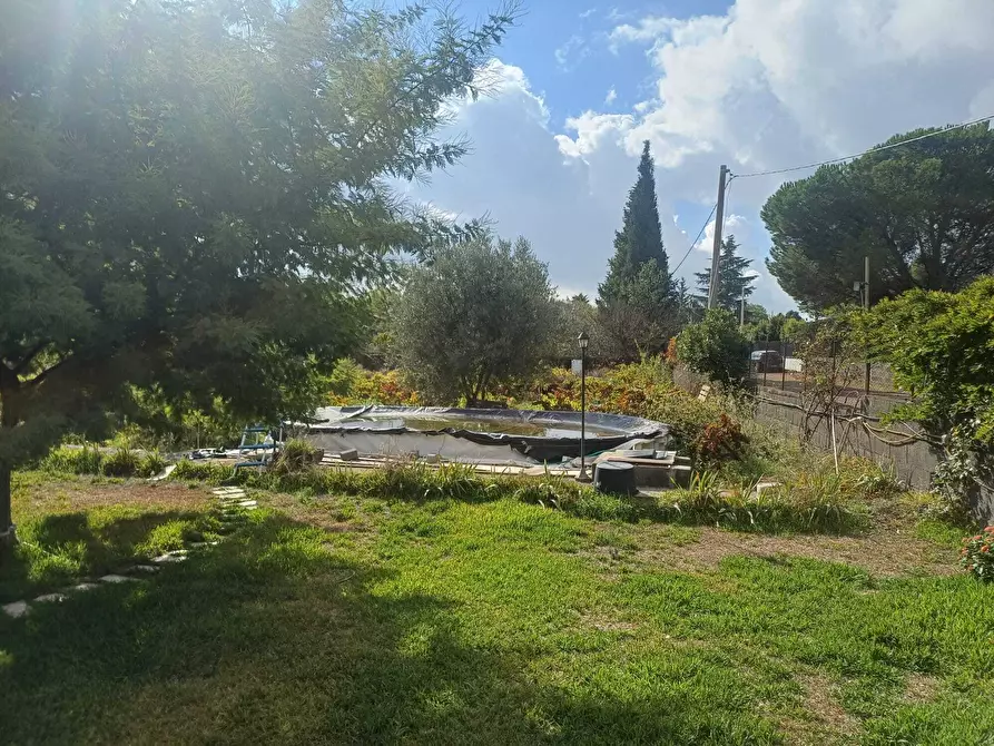Immagine 4 di Terreno agricolo in vendita  in Via Friuli snc a Mascalucia
