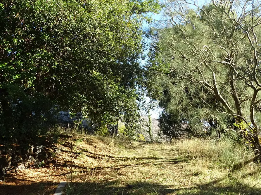 Immagine 12 di Terreno agricolo in vendita  in SP158 a Biancavilla
