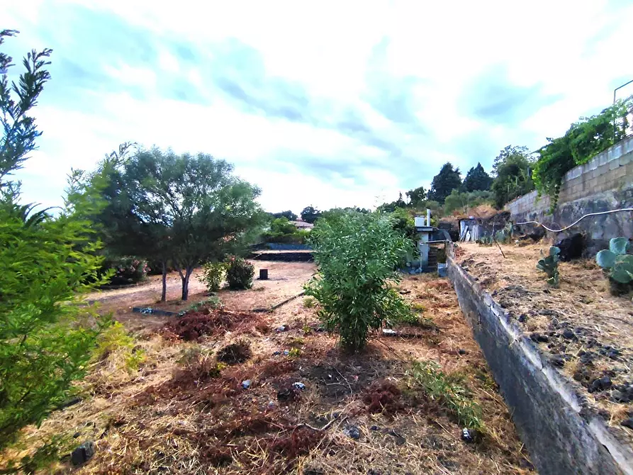 Immagine 4 di Terreno edificabile in vendita  in Via Dei Gelsomini 16 a Pedara