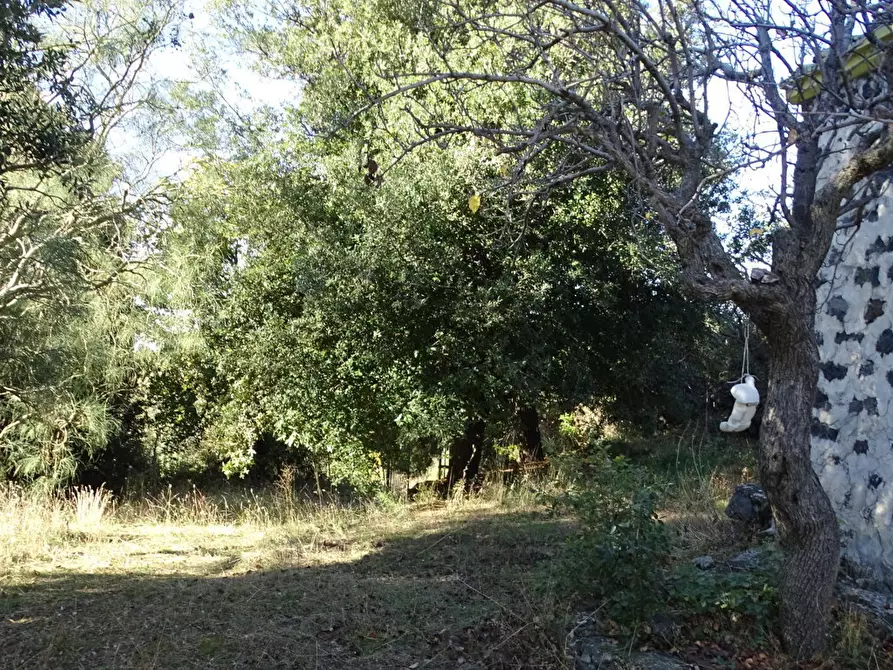 Immagine 3 di Terreno agricolo in vendita  in SP158 a Biancavilla