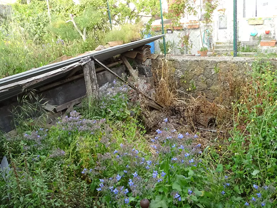 Immagine 4 di Casa indipendente in vendita  in Via Monte Grappa 7 a Belpasso
