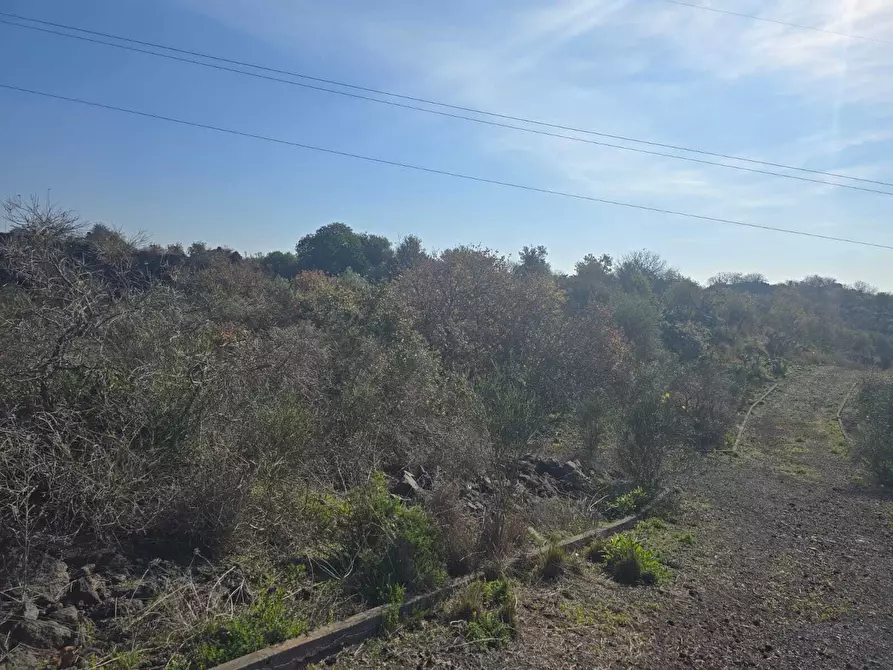 Immagine 39 di Terreno industriale in vendita  in Via Gran Bretagna a Camporotondo Etneo