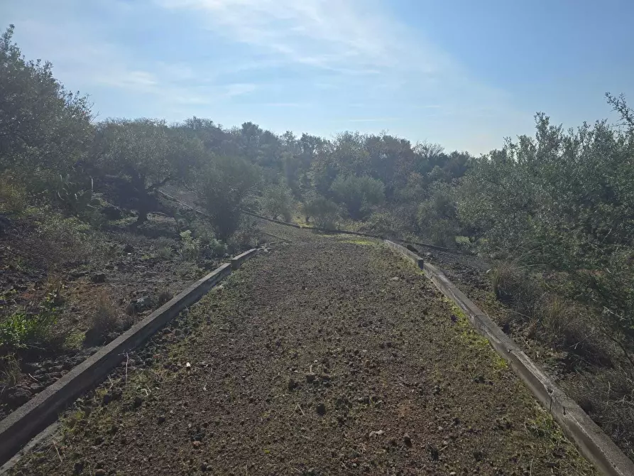 Immagine 34 di Terreno industriale in vendita  in Via Gran Bretagna a Camporotondo Etneo