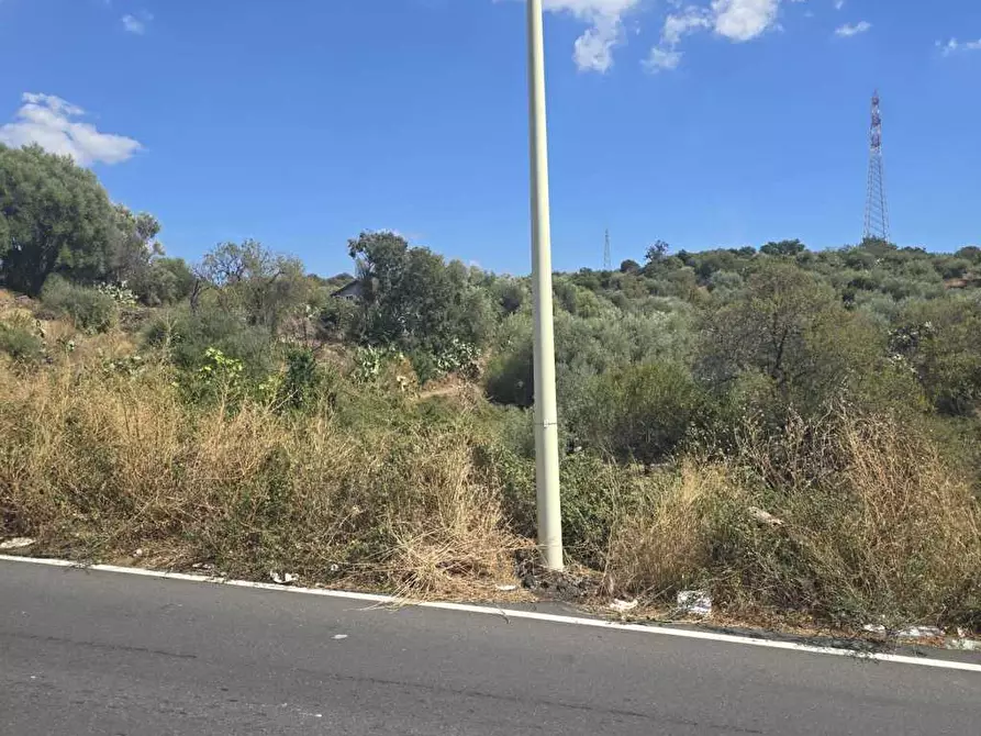 Immagine 6 di Terreno agricolo in vendita  in Via Luigi Pirandello a Camporotondo Etneo
