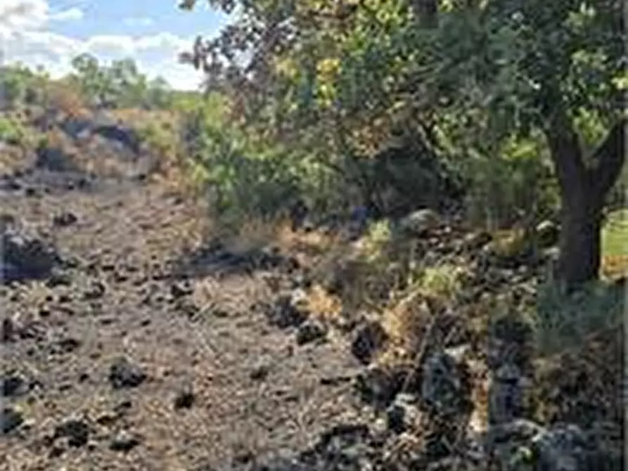 Immagine 2 di Terreno agricolo in vendita  in Contrada Guardia Ascino a Belpasso
