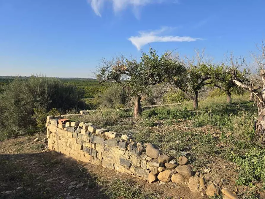 Immagine 18 di Terreno agricolo in vendita  in Via San Nicola 19 a Motta Sant'anastasia